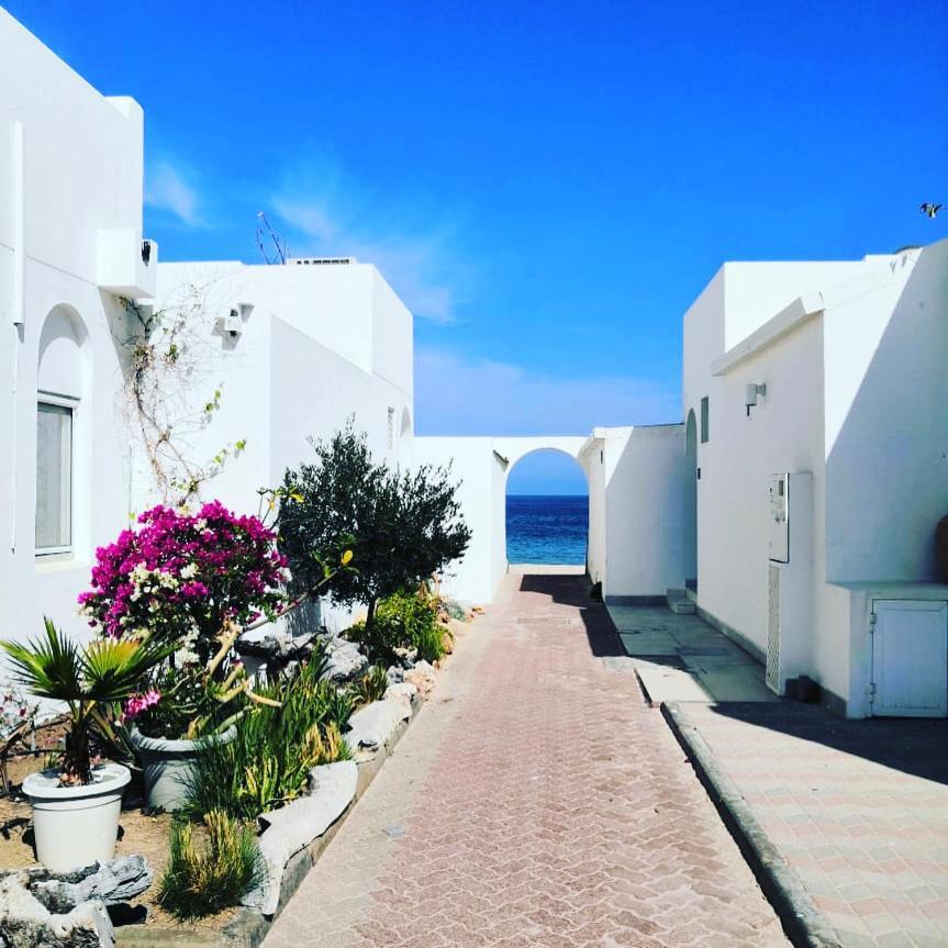 The Blue Gate 2 * Masqat